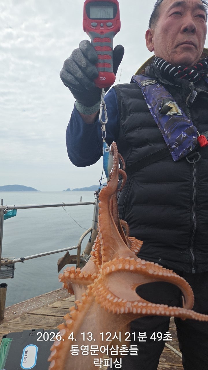 ����ڰ� �ø� �̹���