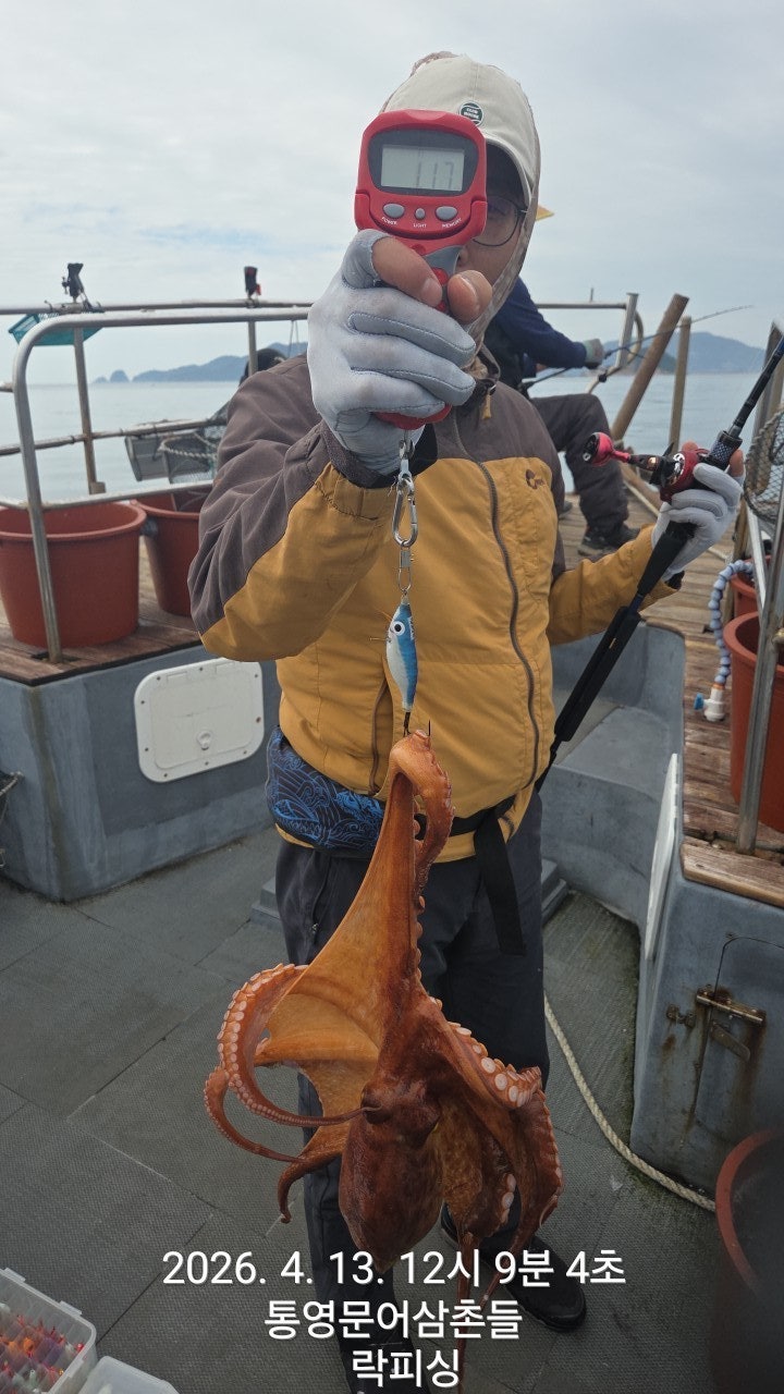 ����ڰ� �ø� �̹���