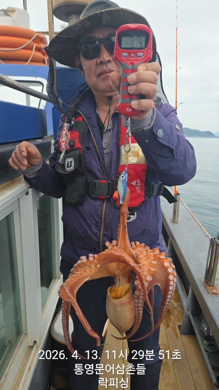 ����ڰ� �ø� �̹���