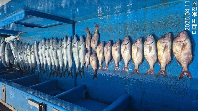 ����ڰ� �ø� �̹���