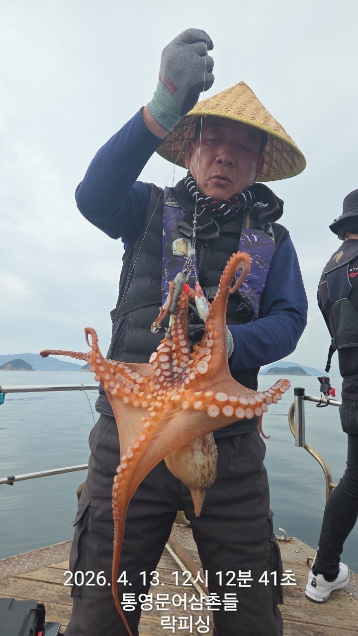 ����ڰ� �ø� �̹���