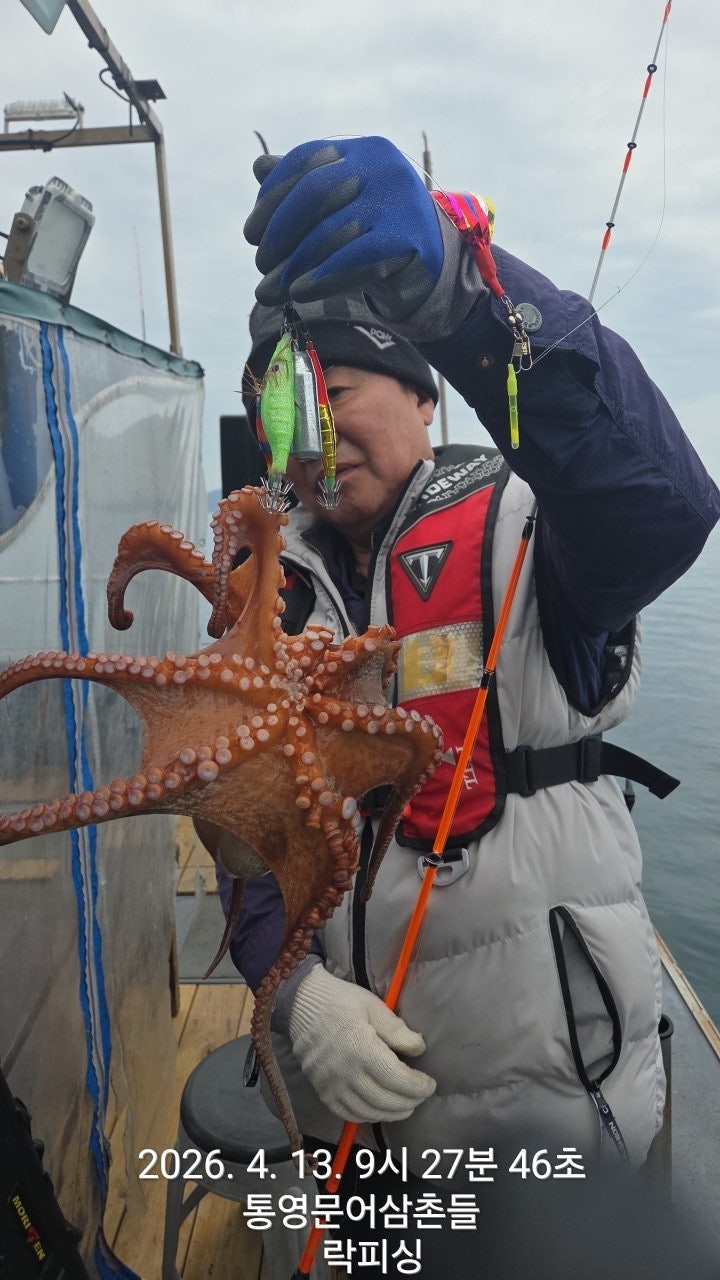 ����ڰ� �ø� �̹���