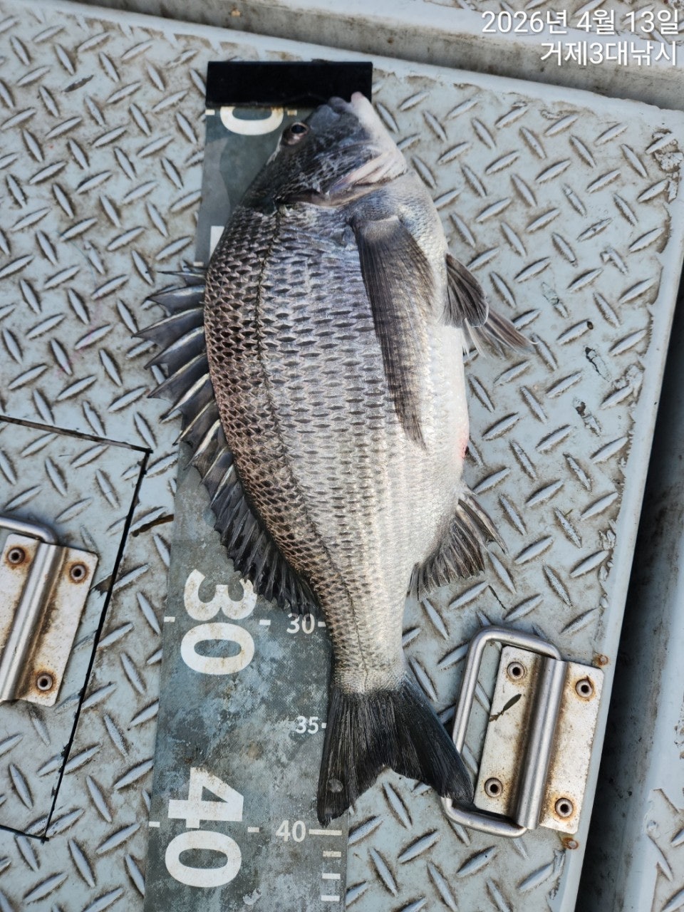 ����ڰ� �ø� �̹���