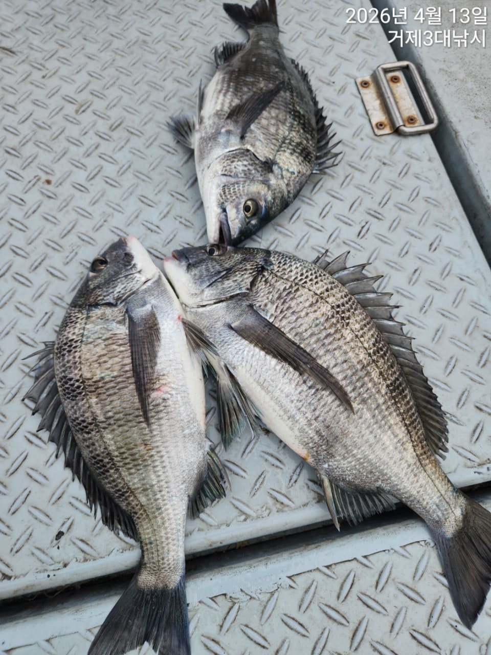 ����ڰ� �ø� �̹���