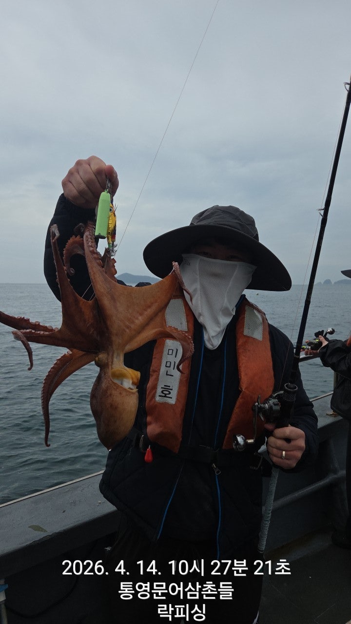 ����ڰ� �ø� �̹���