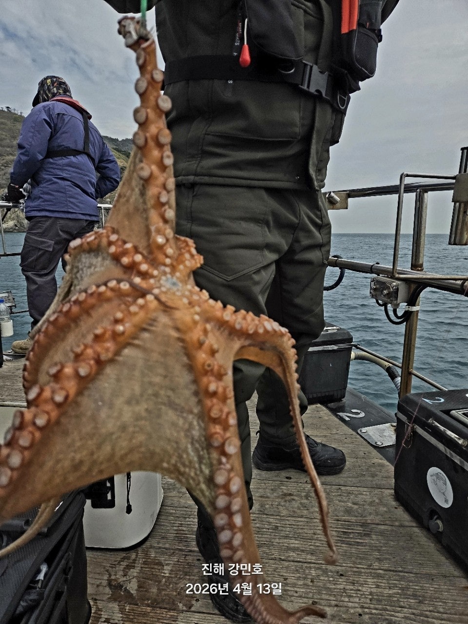 ����ڰ� �ø� �̹���