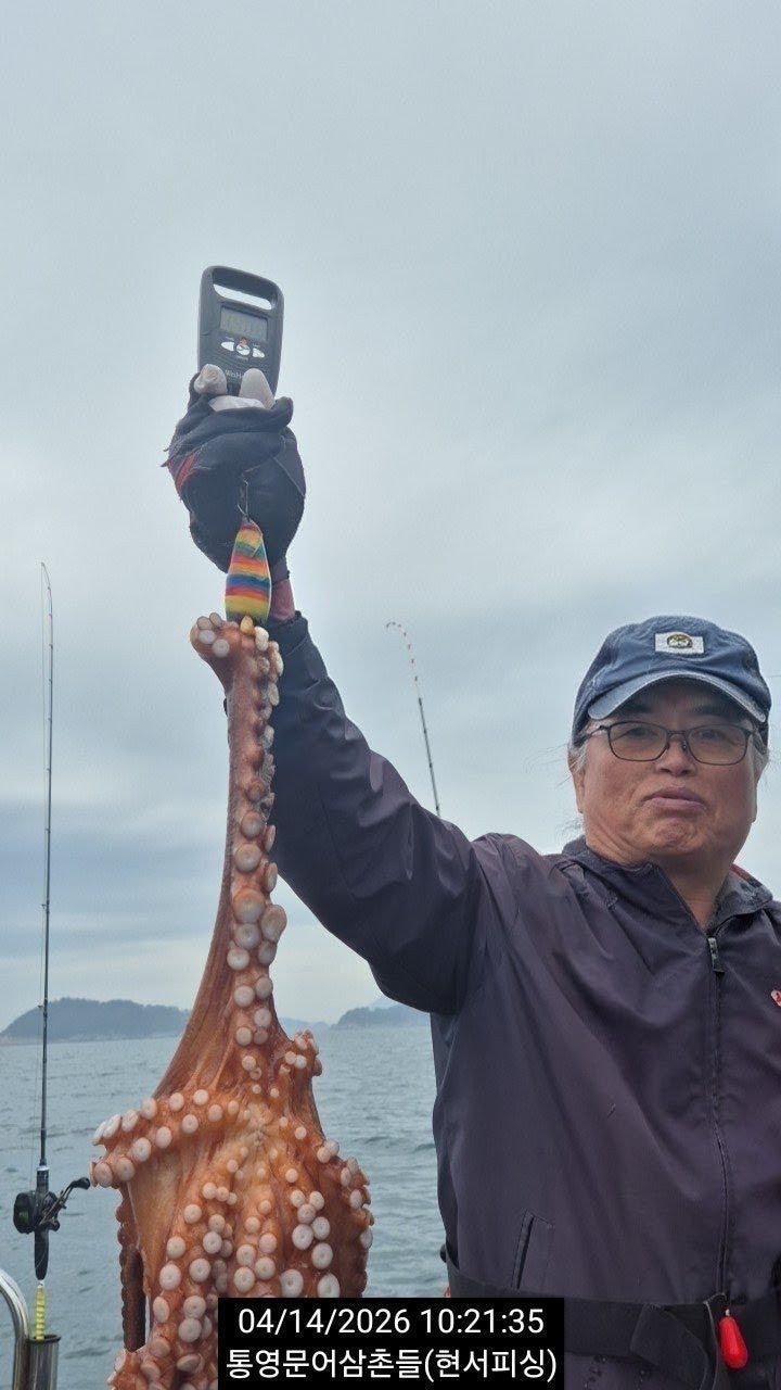 ����ڰ� �ø� �̹���