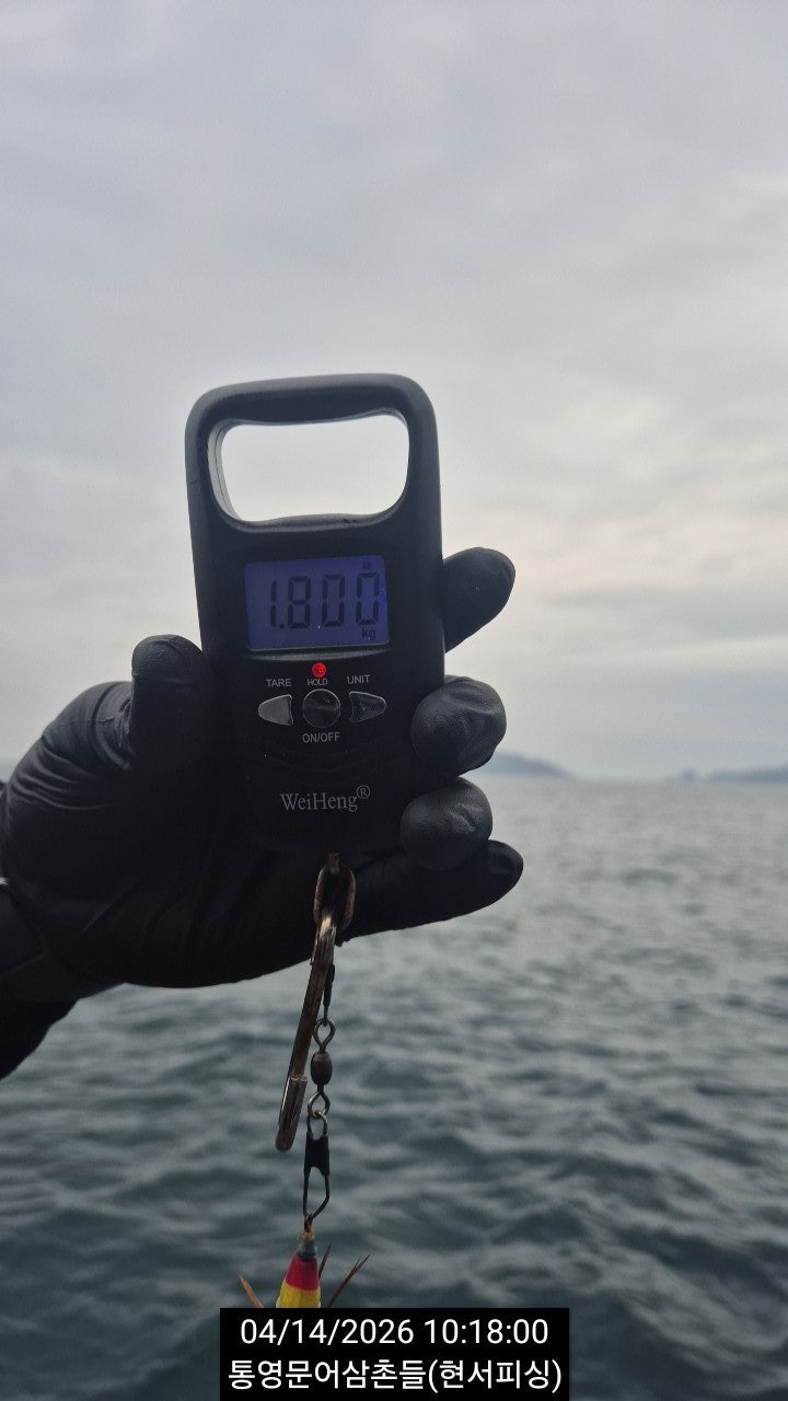 ����ڰ� �ø� �̹���