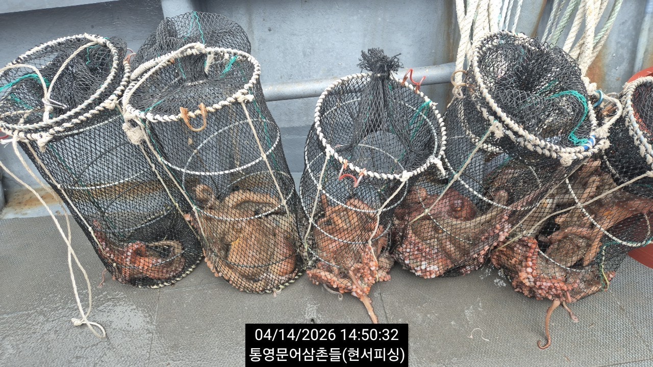 ����ڰ� �ø� �̹���