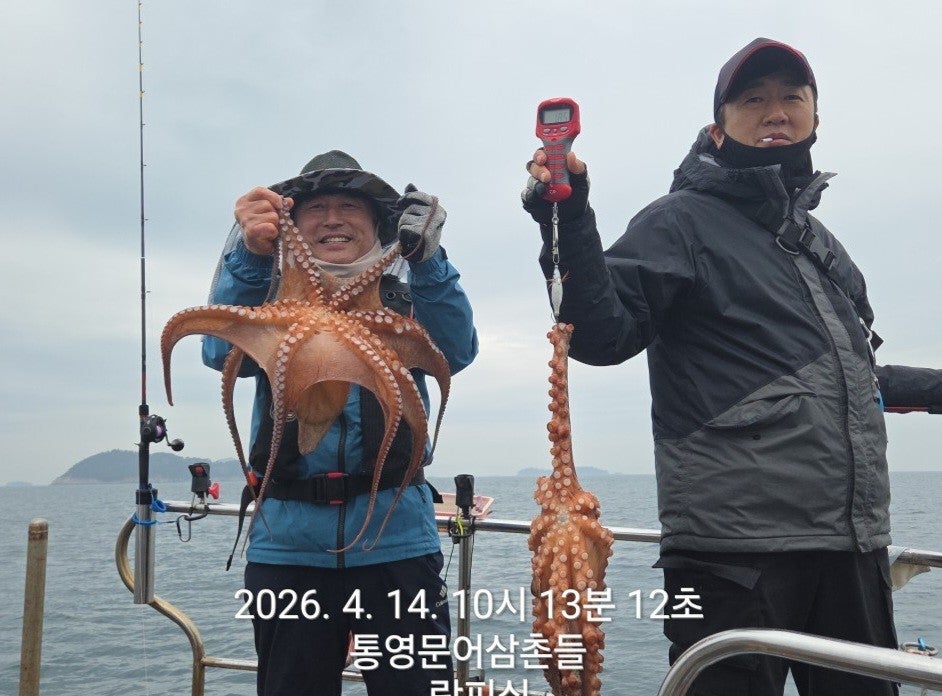 ����ڰ� �ø� �̹���