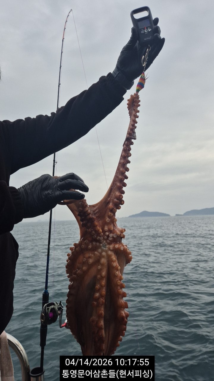 ����ڰ� �ø� �̹���