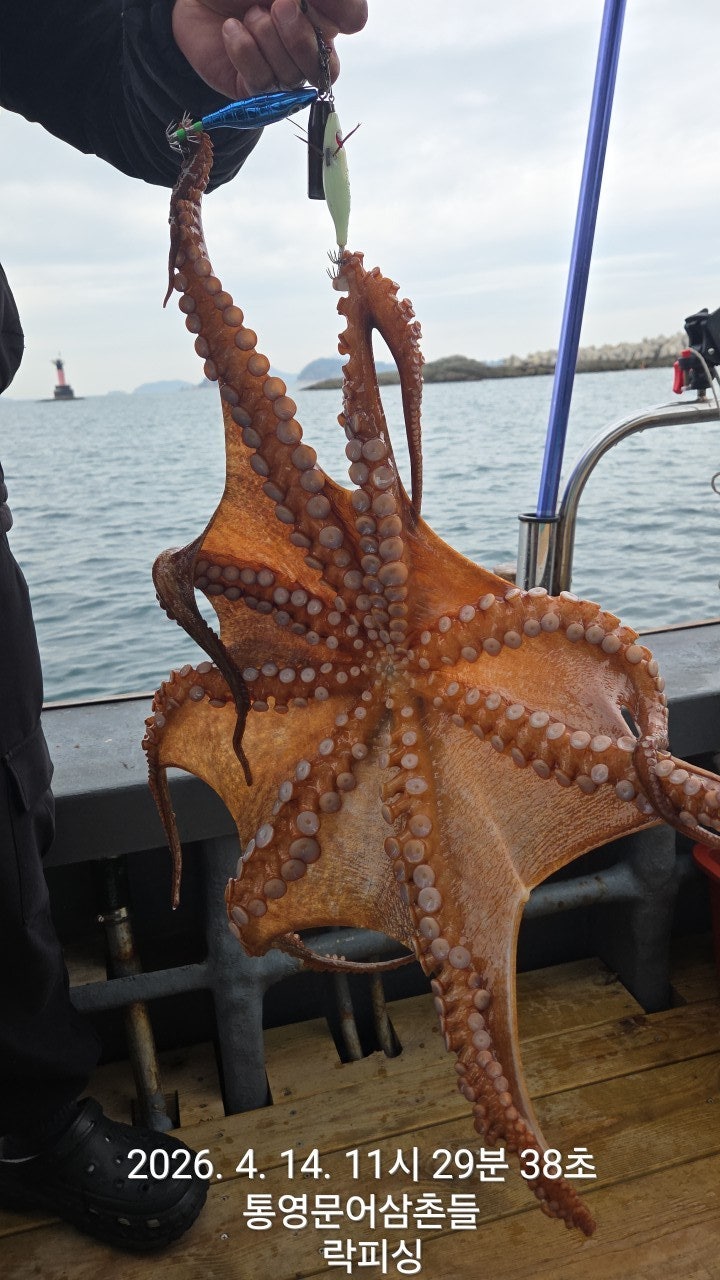 ����ڰ� �ø� �̹���