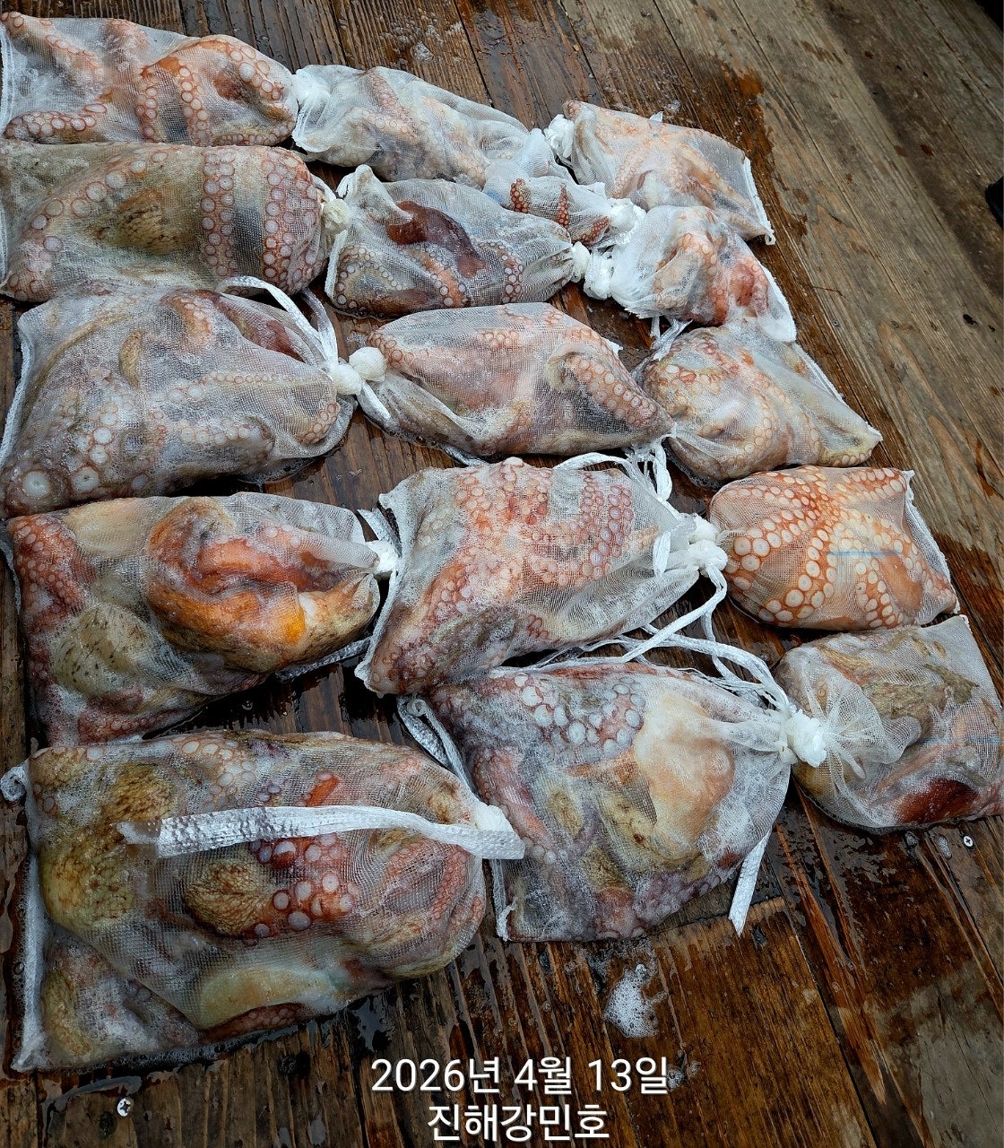 ����ڰ� �ø� �̹���