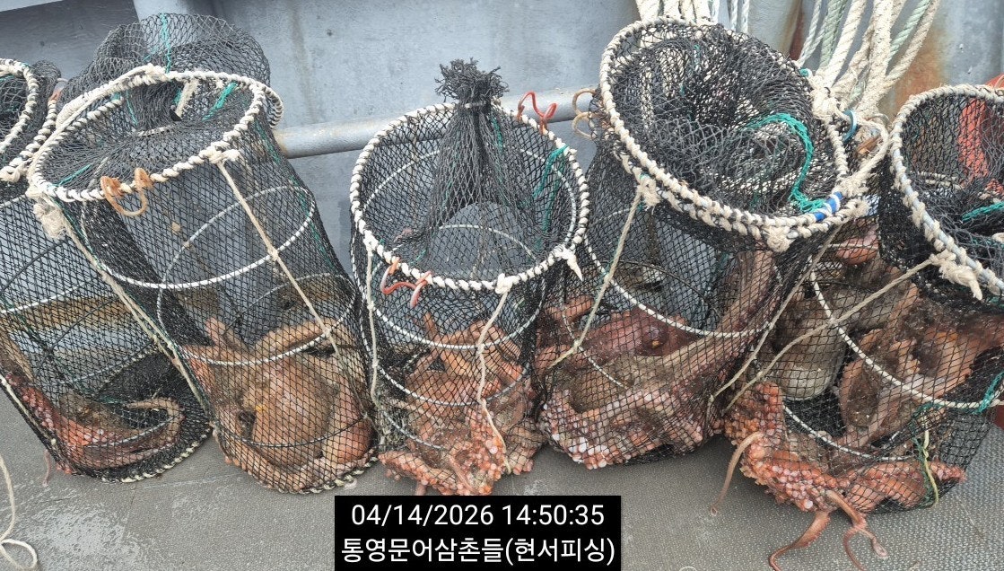 ����ڰ� �ø� �̹���