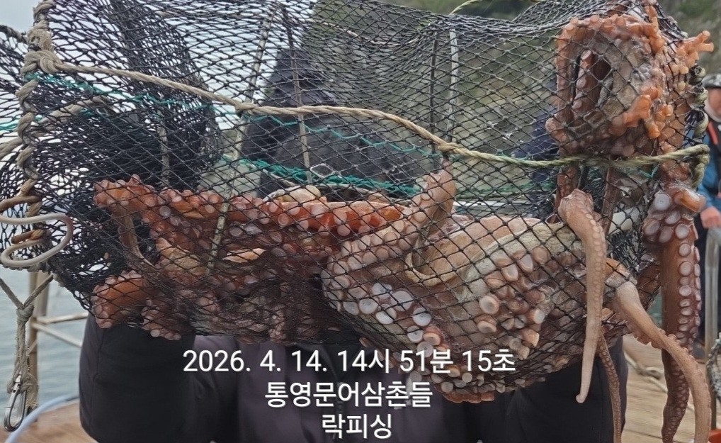 ����ڰ� �ø� �̹���