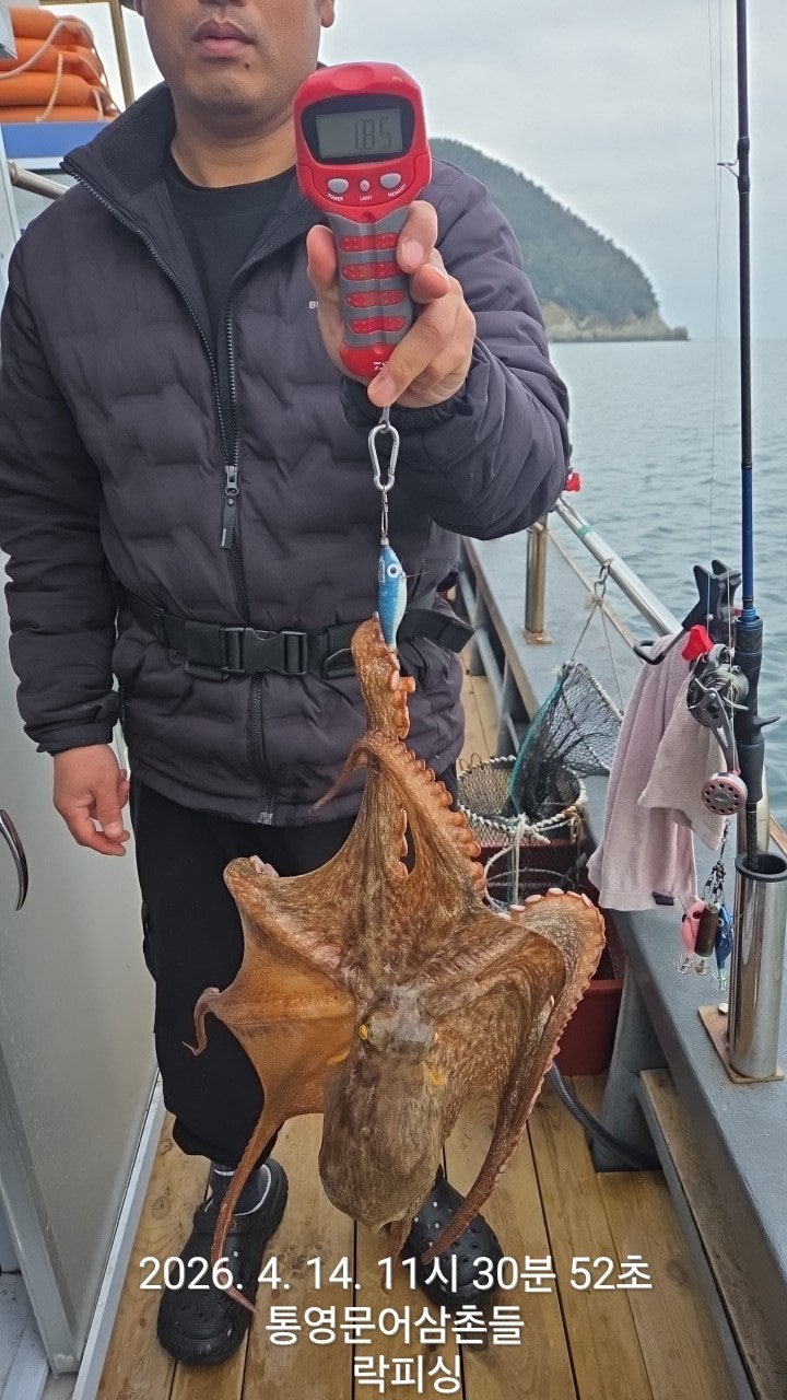 ����ڰ� �ø� �̹���