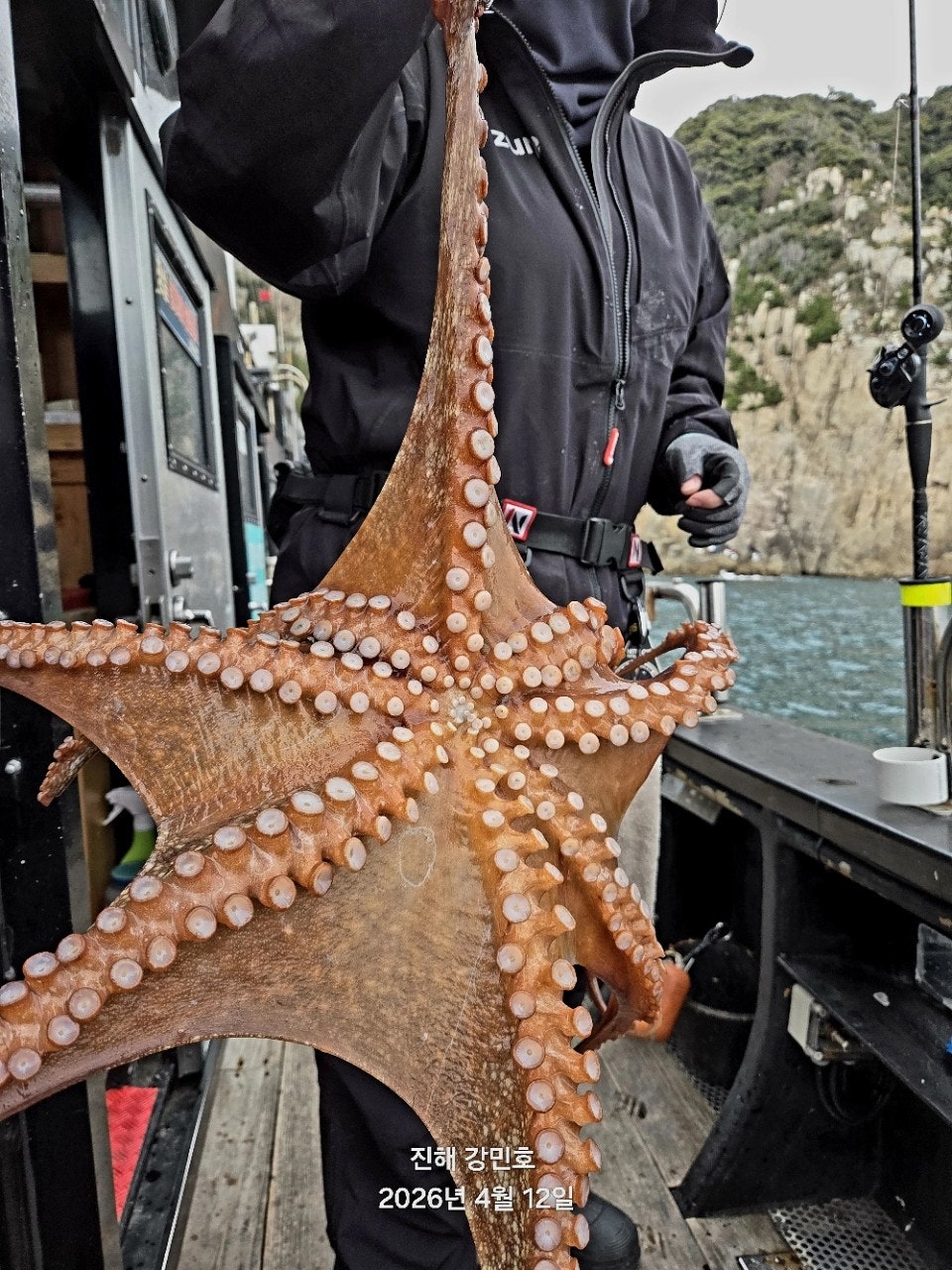 ����ڰ� �ø� �̹���