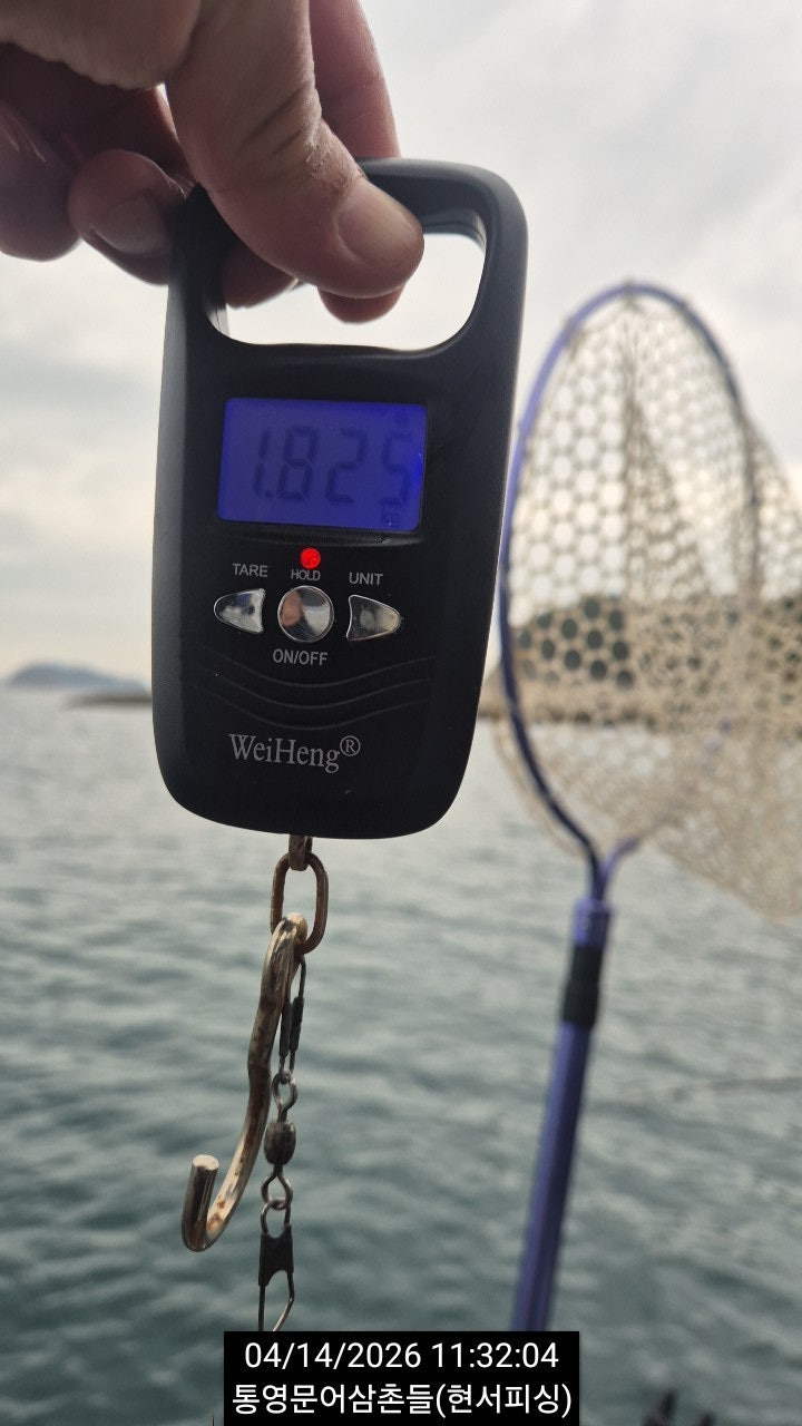 ����ڰ� �ø� �̹���