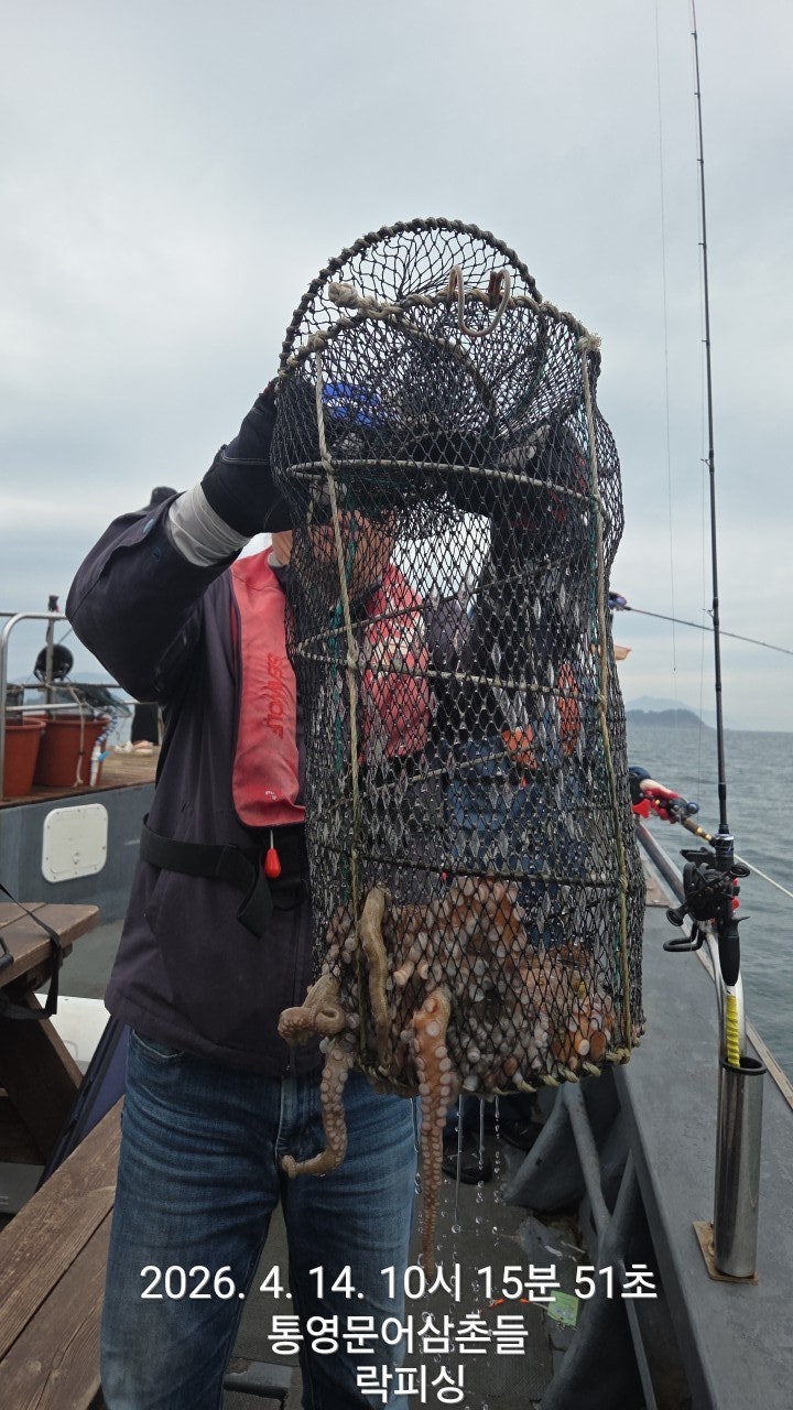 ����ڰ� �ø� �̹���