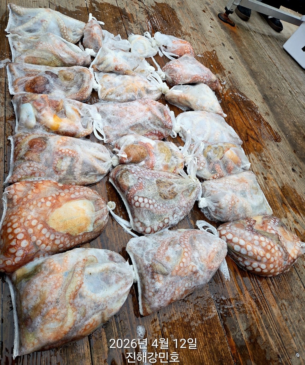 ����ڰ� �ø� �̹���