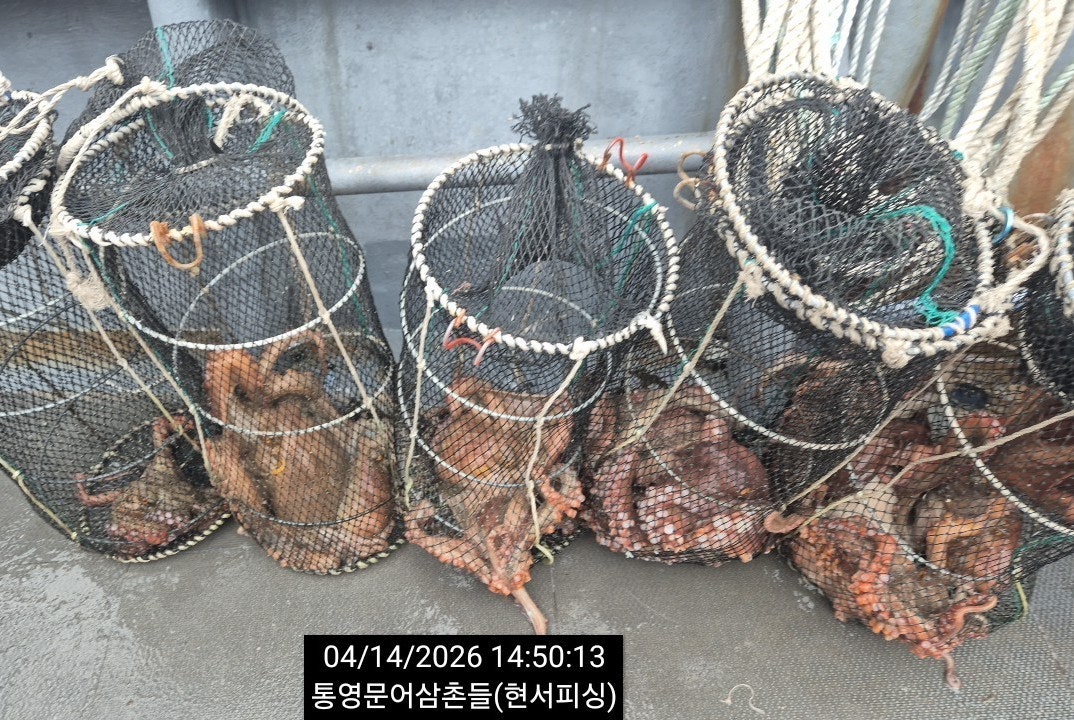 ����ڰ� �ø� �̹���