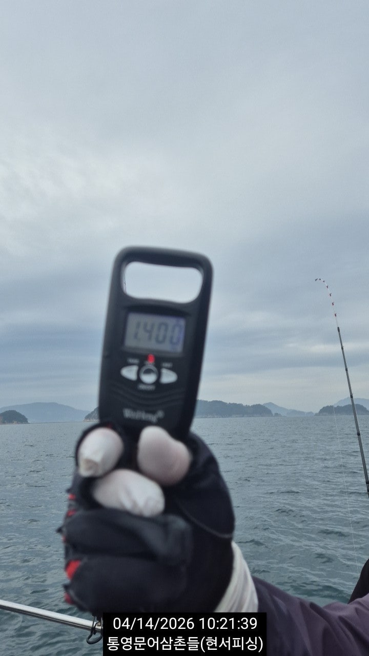 ����ڰ� �ø� �̹���