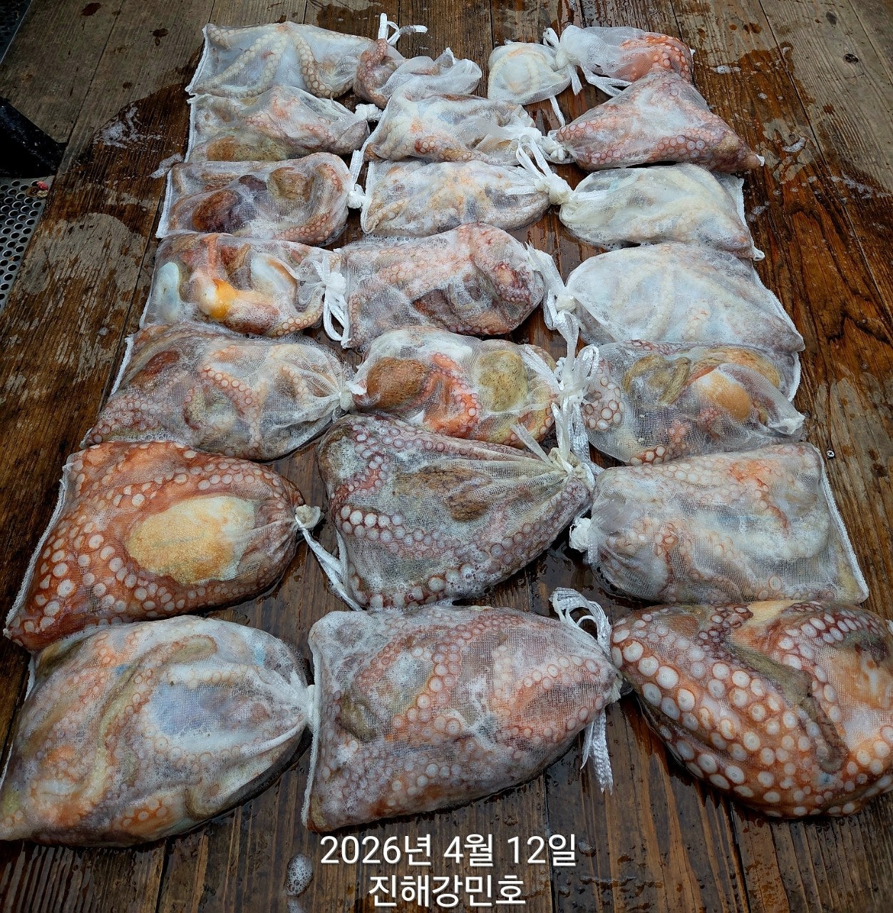 ����ڰ� �ø� �̹���