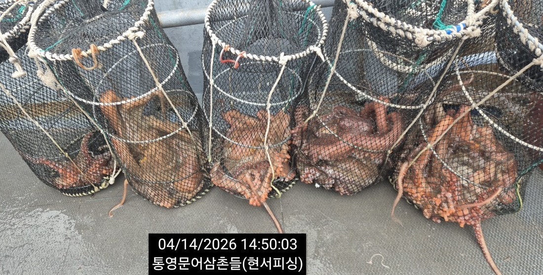 ����ڰ� �ø� �̹���