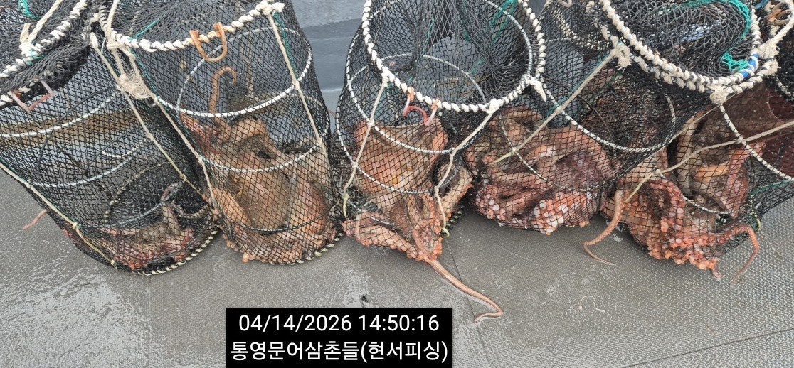 ����ڰ� �ø� �̹���