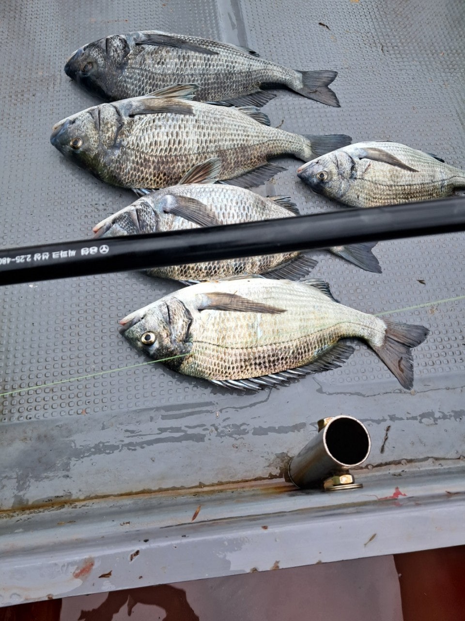 ����ڰ� �ø� �̹���