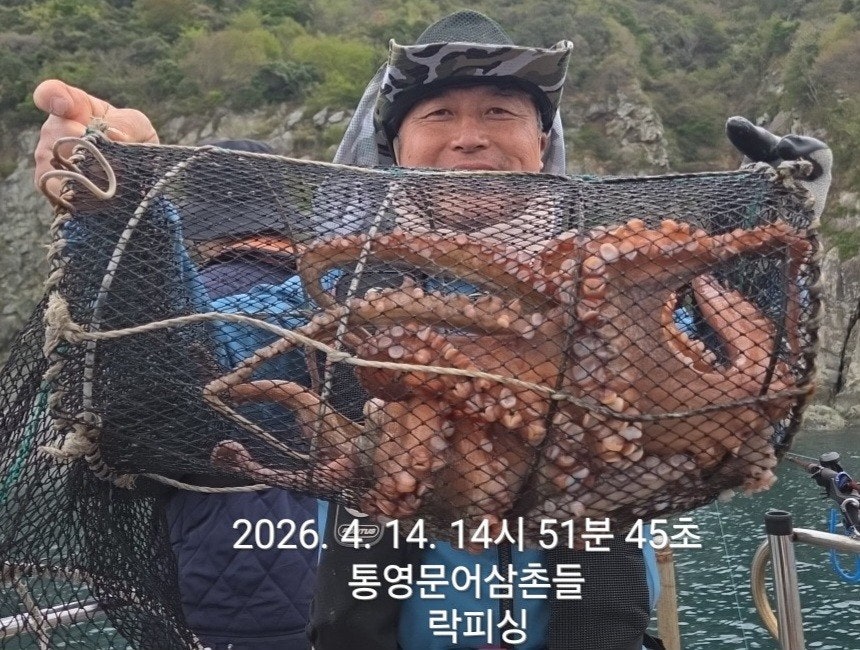 ����ڰ� �ø� �̹���