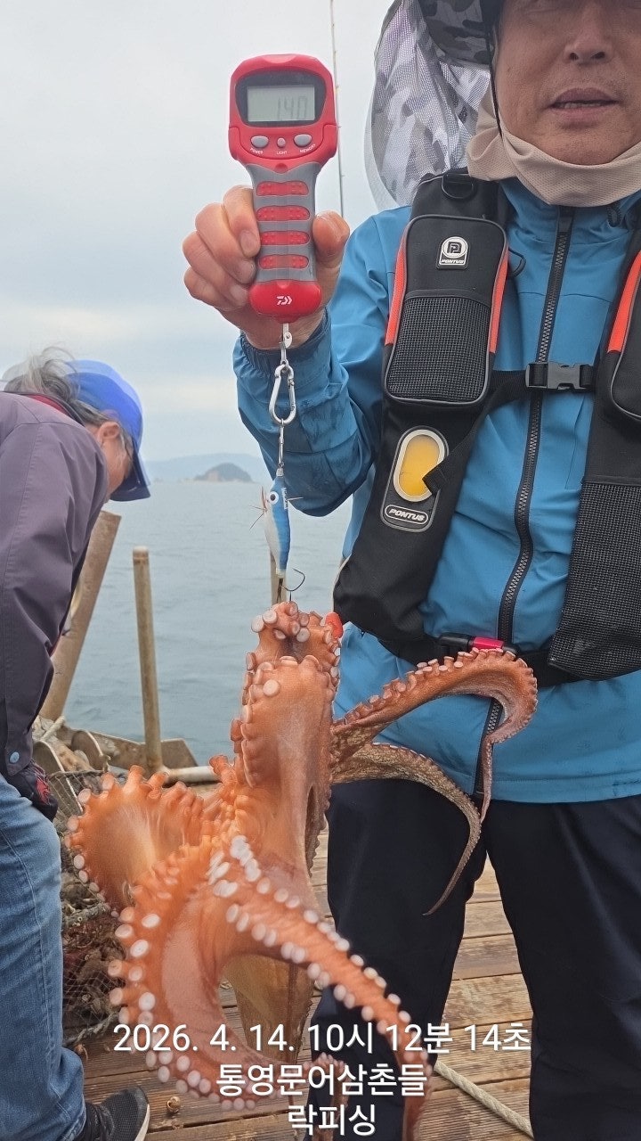 ����ڰ� �ø� �̹���