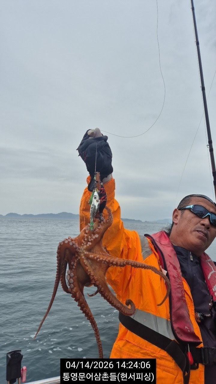 ����ڰ� �ø� �̹���