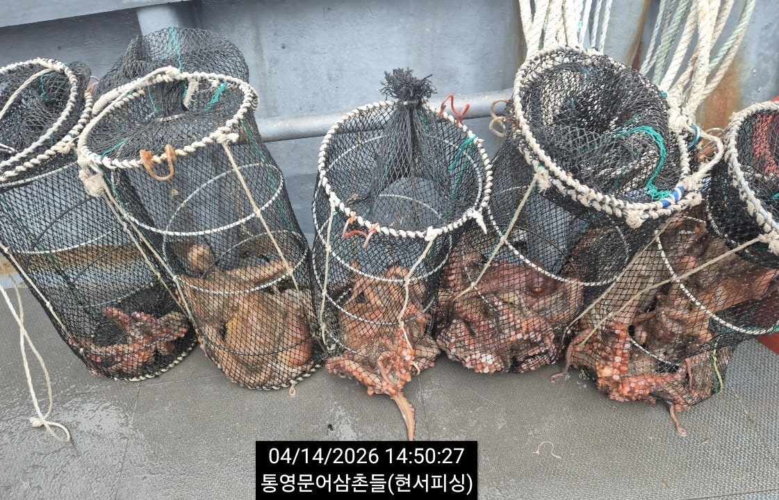 ����ڰ� �ø� �̹���