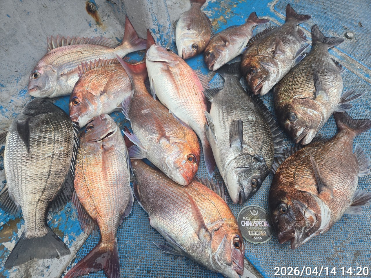 ����ڰ� �ø� �̹���