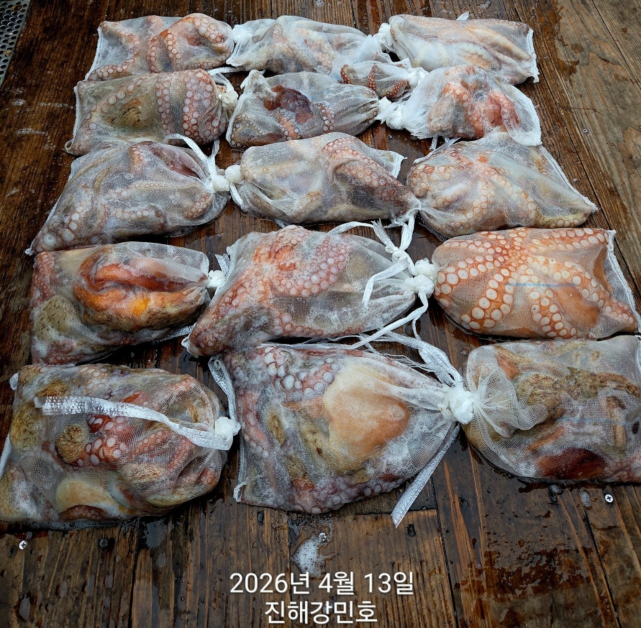 ����ڰ� �ø� �̹���