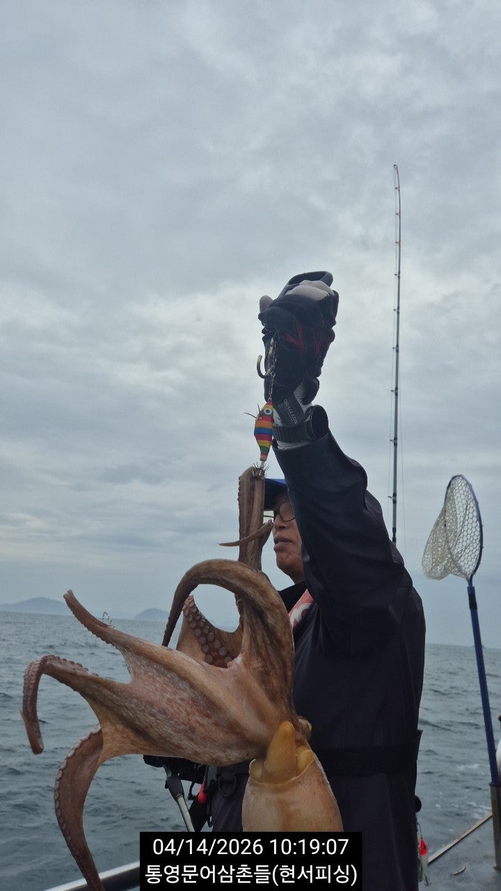 ����ڰ� �ø� �̹���