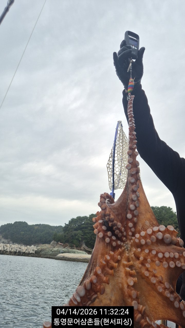 ����ڰ� �ø� �̹���