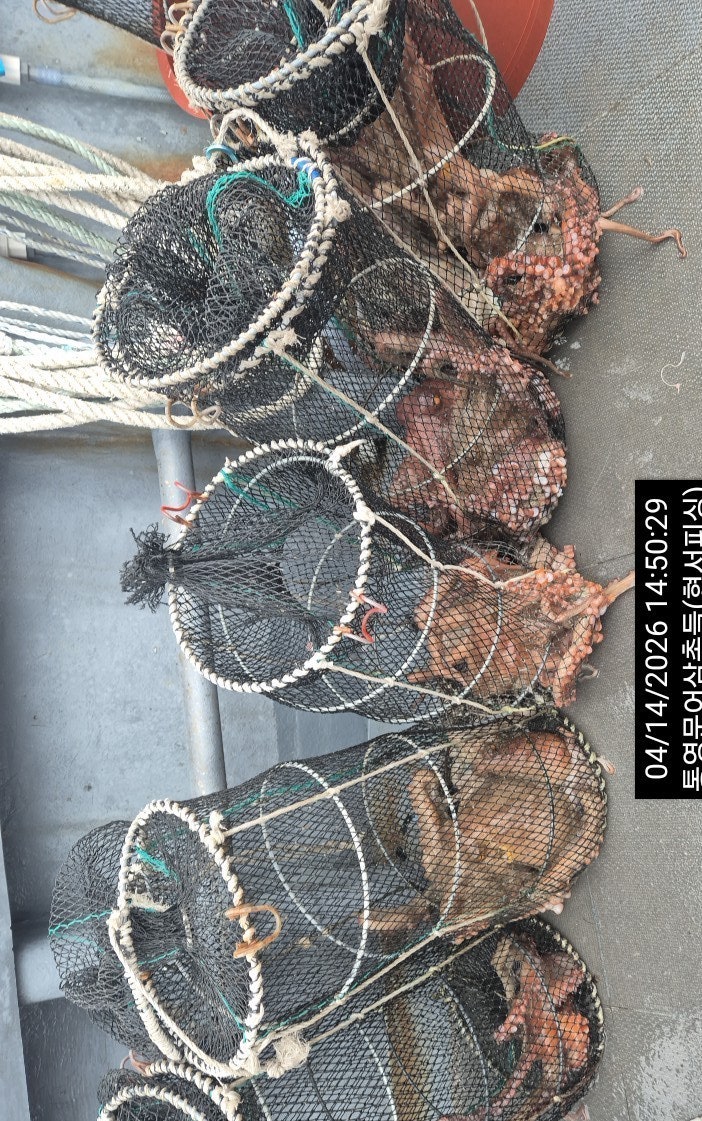 ����ڰ� �ø� �̹���