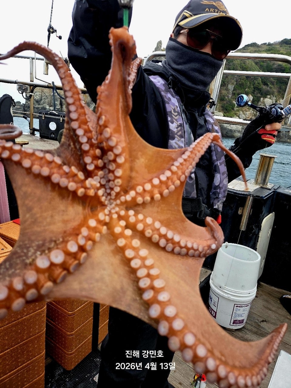 ����ڰ� �ø� �̹���