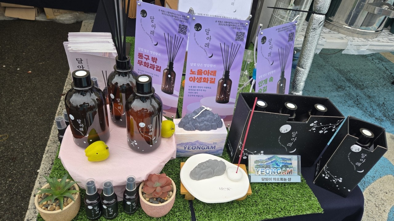사용자가 올린 이미지