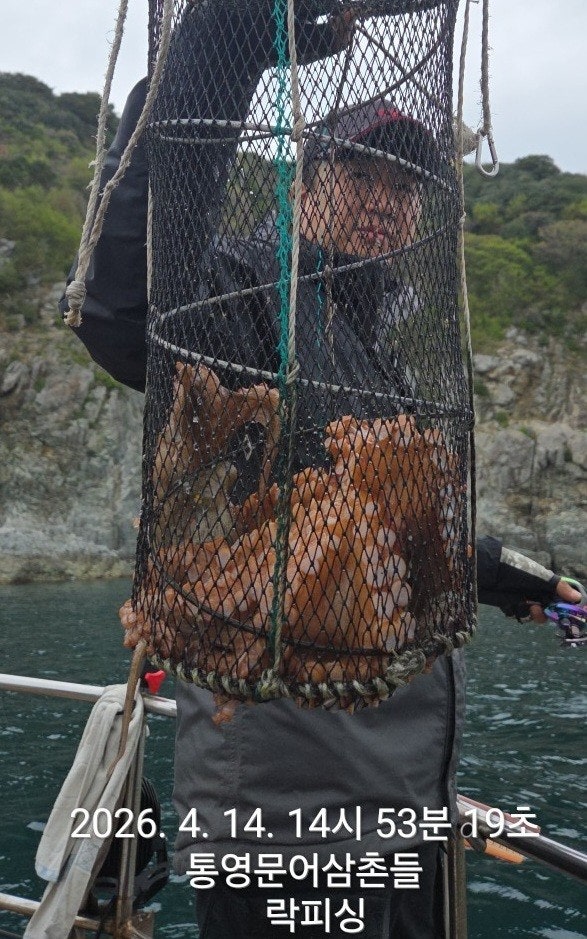 ����ڰ� �ø� �̹���