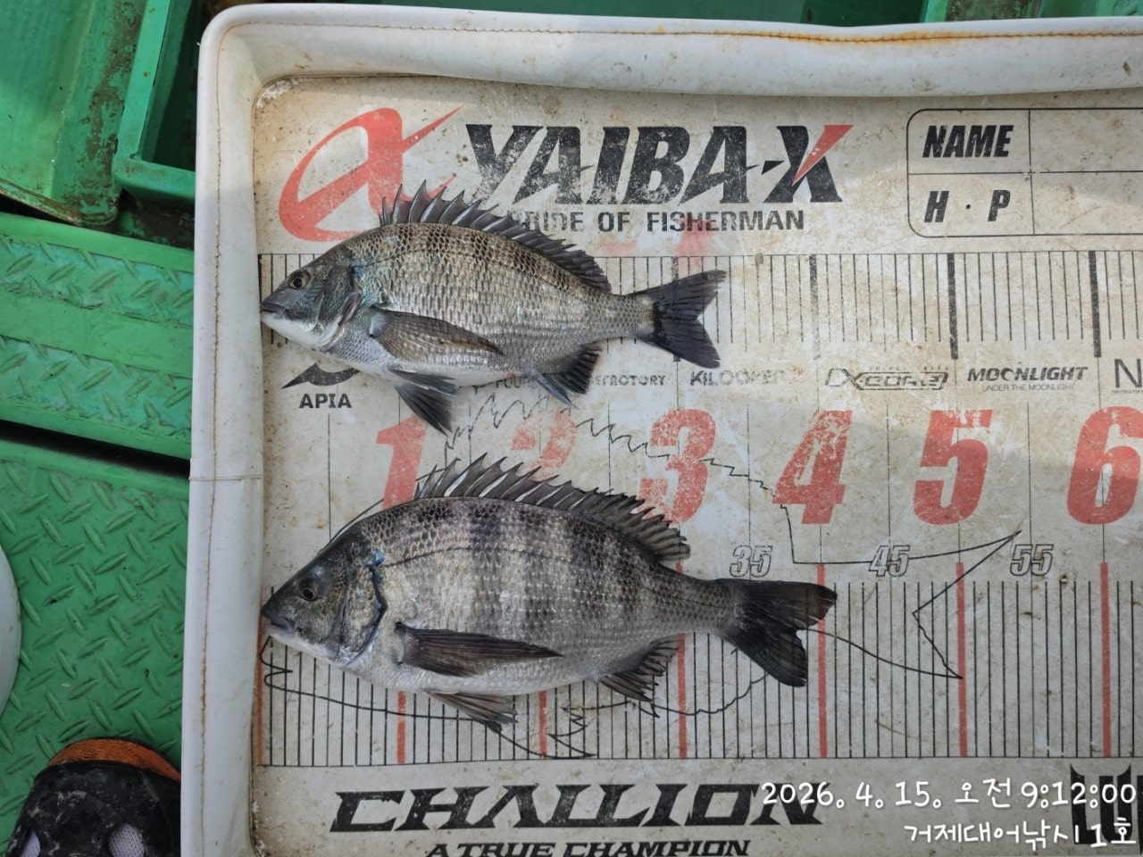 ����ڰ� �ø� �̹���