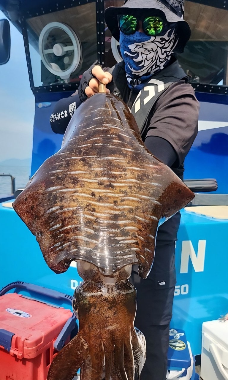 ����ڰ� �ø� �̹���