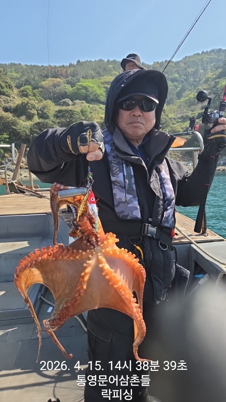 ����ڰ� �ø� �̹���