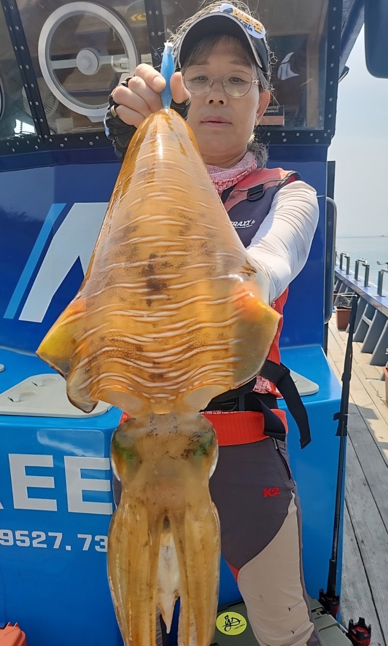 ����ڰ� �ø� �̹���