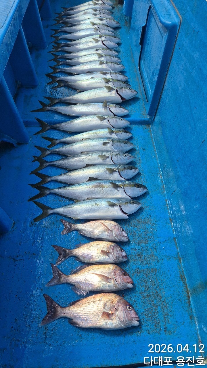 ����ڰ� �ø� �̹���