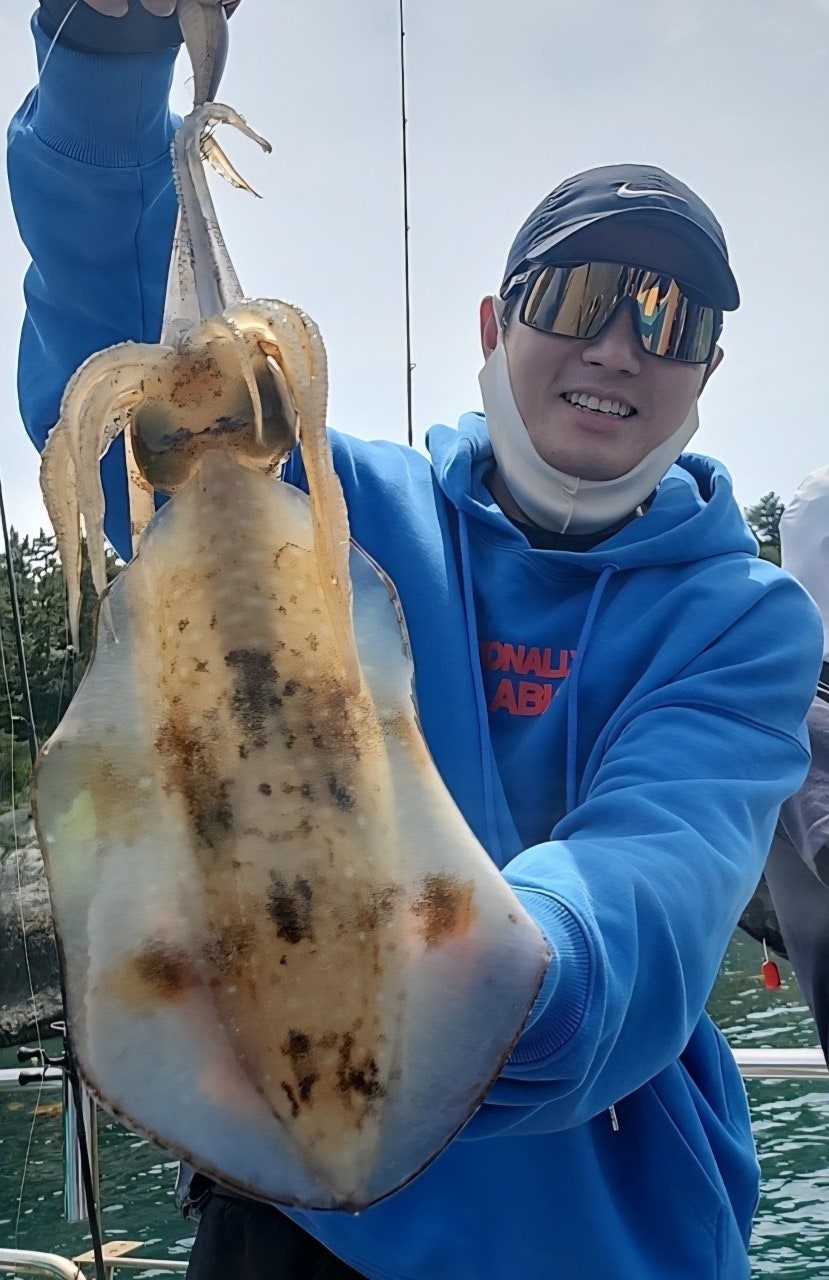 ����ڰ� �ø� �̹���