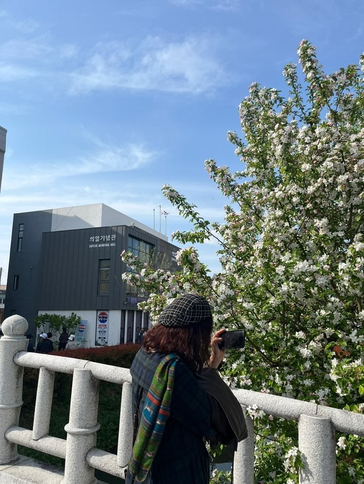 사용자가 올린 이미지