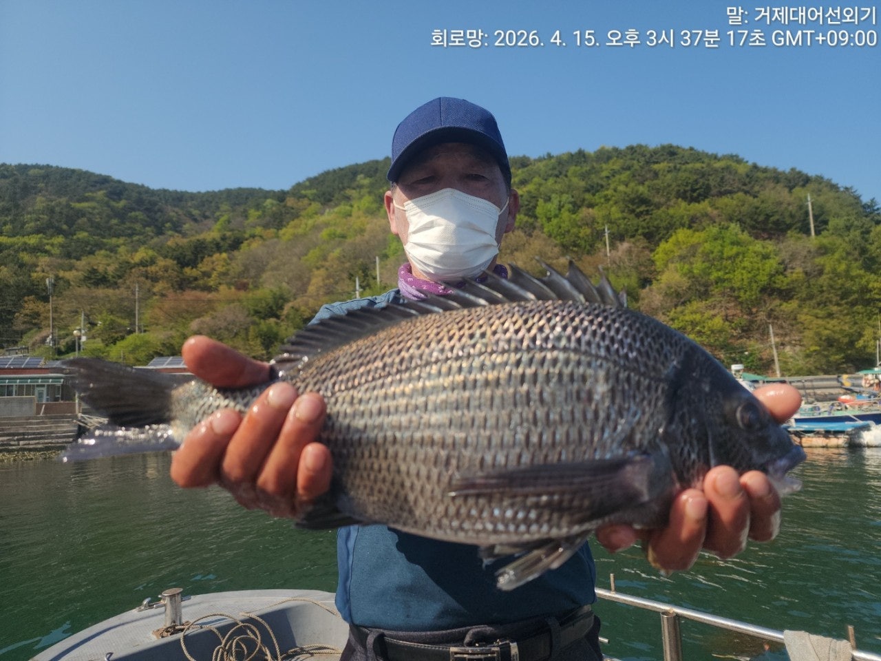 ����ڰ� �ø� �̹���